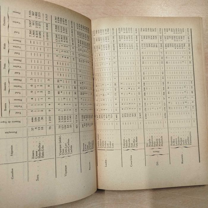 Timor ante- câmara do inferno de Teófilo Duarte