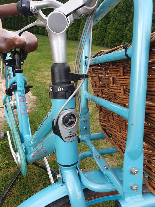 Rower Gazelle, Miss Grace Arctic