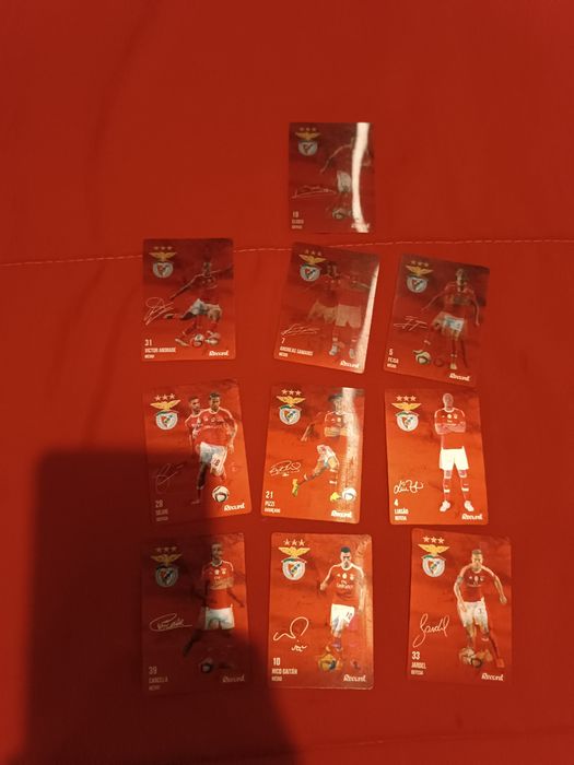 2 cachecóis do benfica