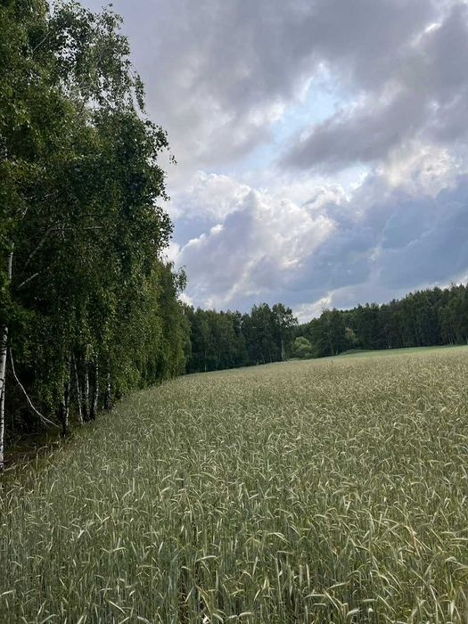 Zdjęcie 8