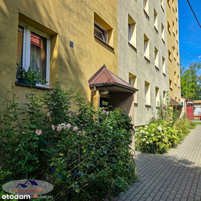 Mieszkanie, Dąbrowa Tarnowska