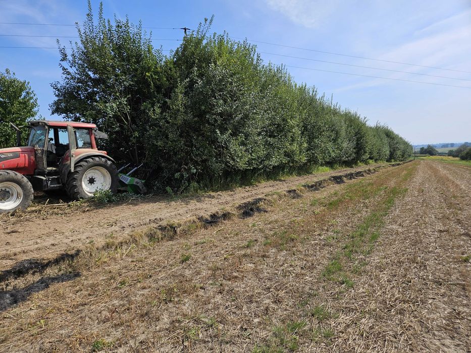 WYCINKA DRZEW Czyszczenie działki MULCZER LEŚNY karczowanie