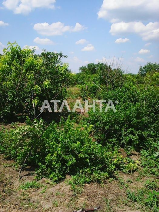 дом в с.Черевичное/Межлиманье/Хаджибеевский лиман