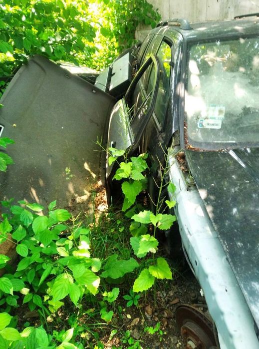 Nissan primera p11  целиком