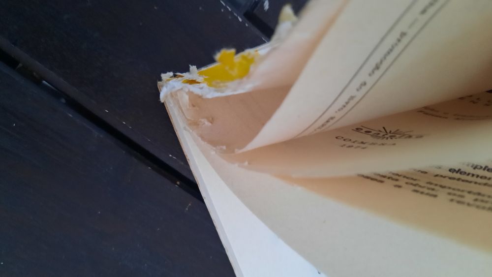 China: Revolução no Ensino