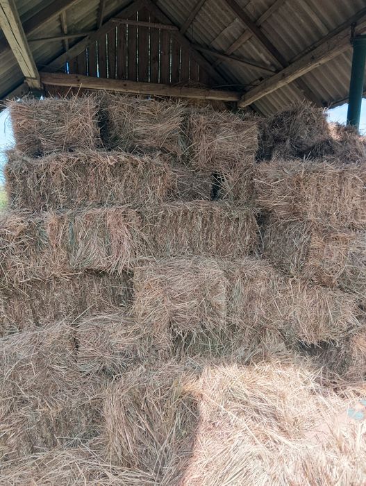 Продам сіно в тюках