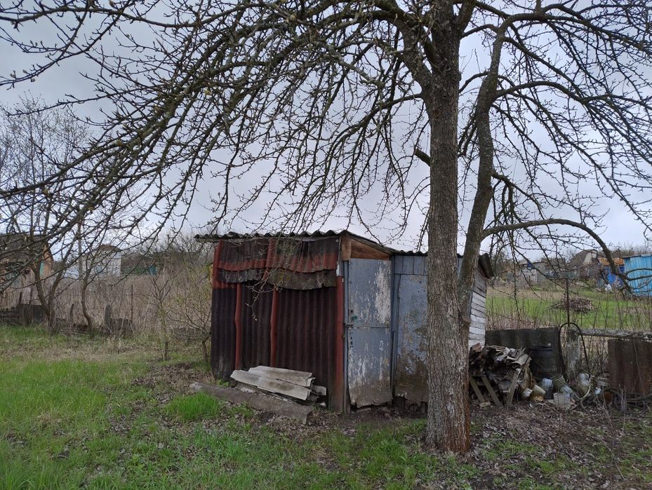 Продам дачу в кооперативі Олдиш