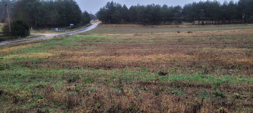 Działka budowlana 1400 m² Miedzno Osie Bory Tucholskie – media, asfalt