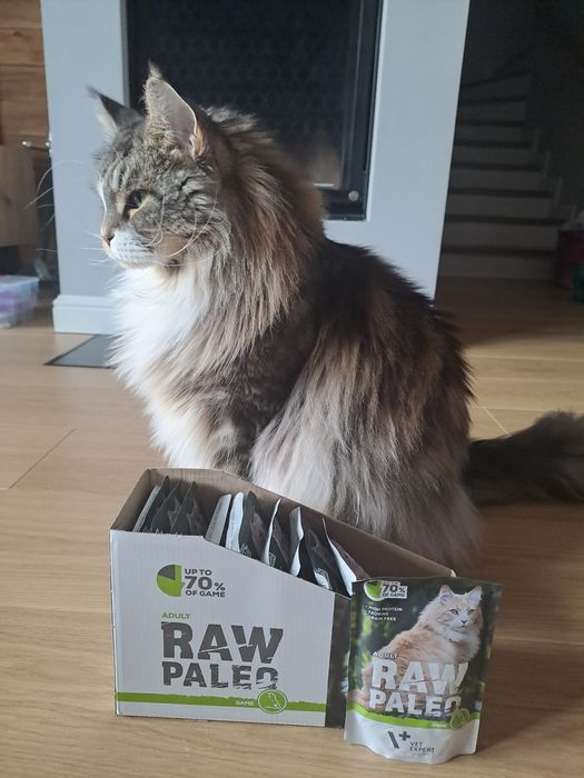 Karma dla kota Raw Paleo