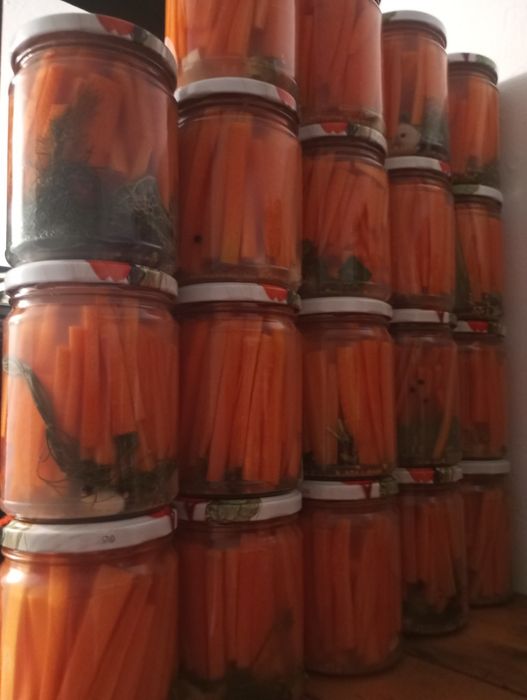 Kiszone Ogórki, sezon 2025