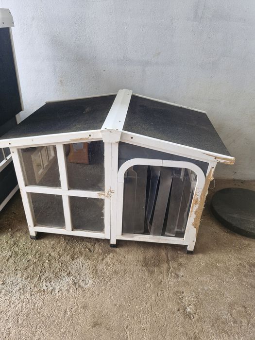 Casota cão com abertura no topo