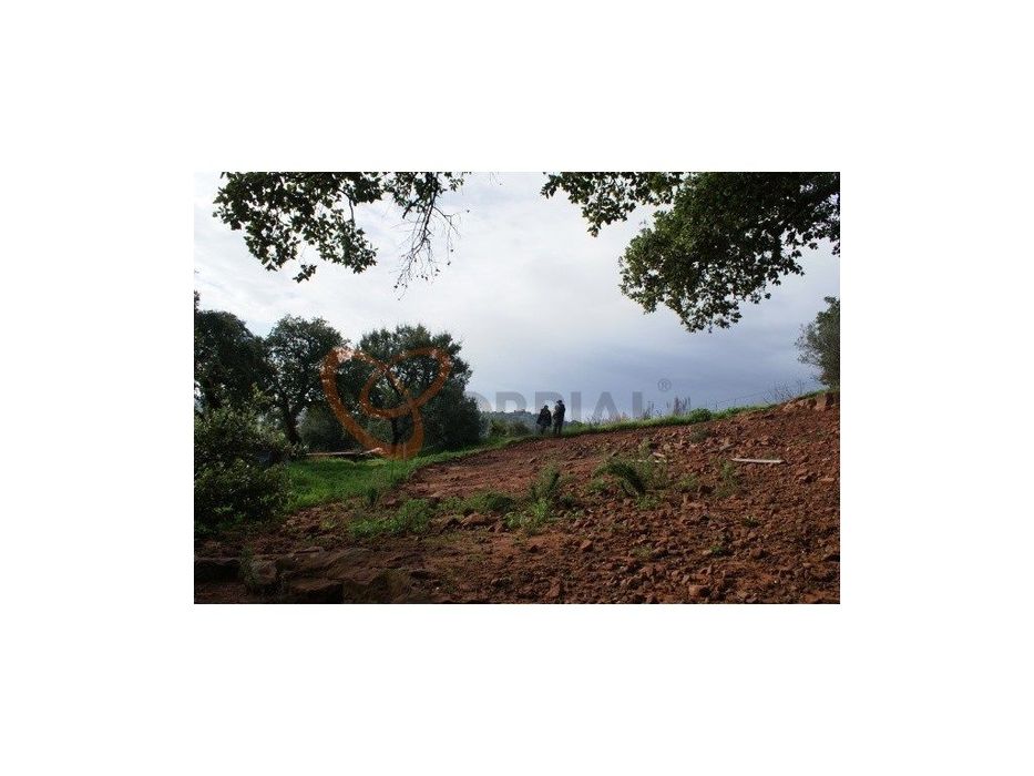 Terreno para venda com viabilidade de construção, Algarve. — São Bartolomeu de Messines, Faro