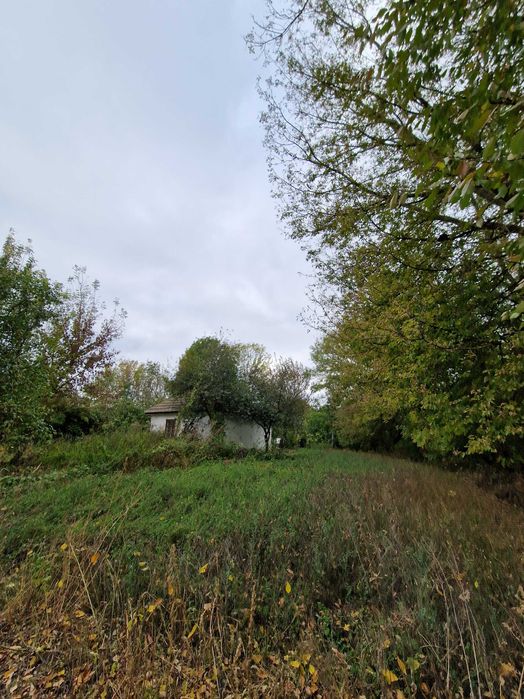 Продам дачну ділянку або здача землі в оренду.