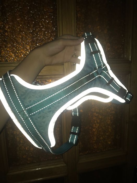 Фірмовий нашийник/нагрудник для собак від Rukka