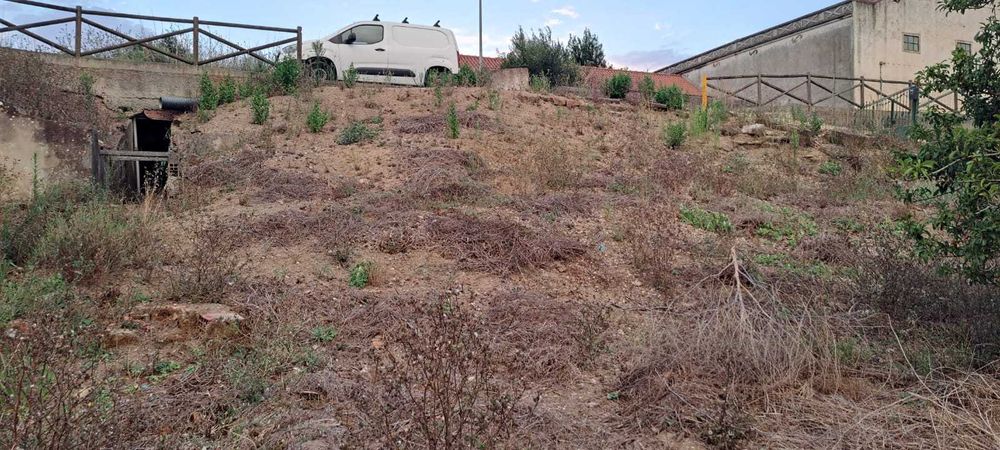 Terreno Urbano 491 m² na Marteleira – Estudo p/ Moradia 300 m² (Lourinhã)