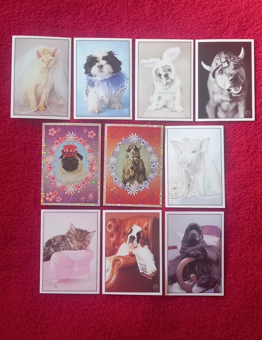 Conjunto de 10 cromos Perfect Pets