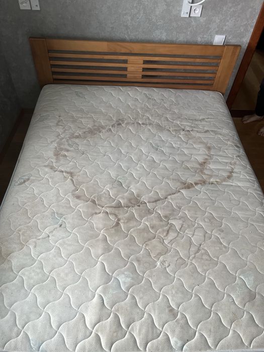 Хімчистка мʼяких меблів