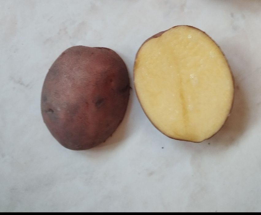 Картопля Бела роса, Гренада