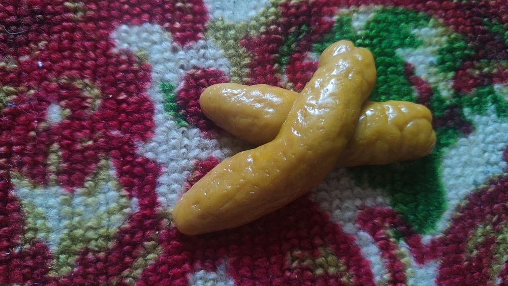 Гумова какашка, какуля, какулет, кака, какушка, шутка, прикол