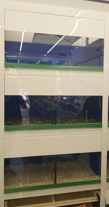 Акваріумна стійка