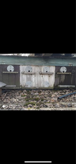 Продам вулики