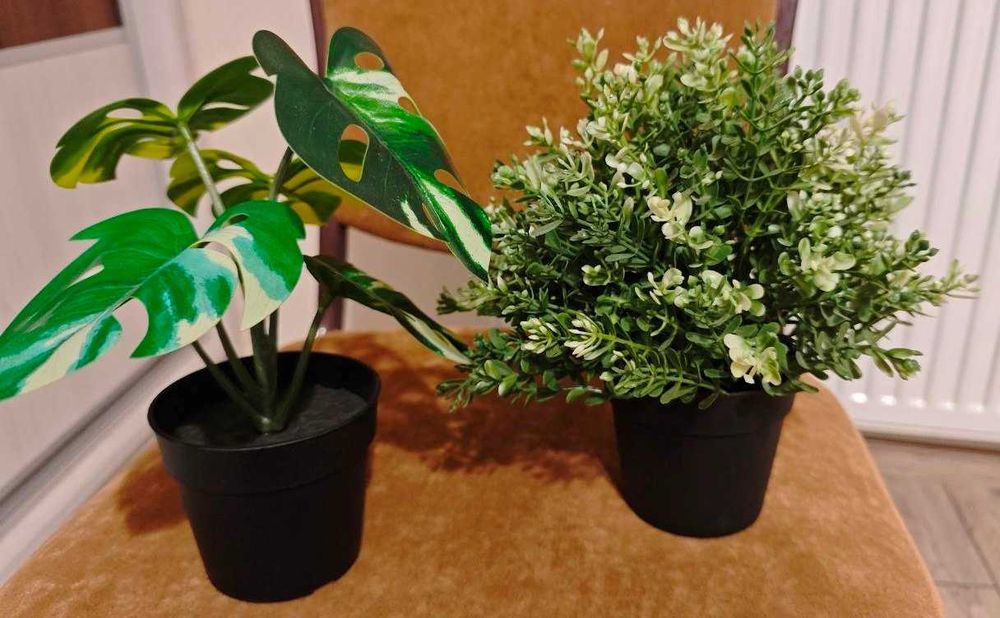 2 x fejka Ikea - monstera 24 cm i tymianek 22 cm