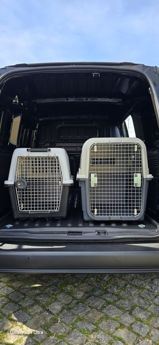 TransPatas - Serviço de transporte de animais