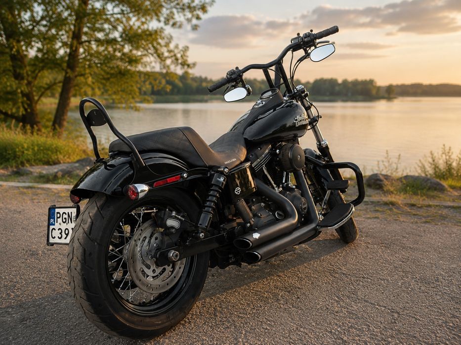 Harley- Davidson Dyna Street Bob