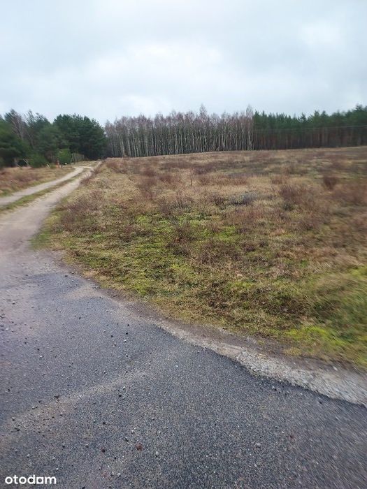 Działki Budowlane Gniezno, Trzemeszno, Wymysłowo - Widok 4