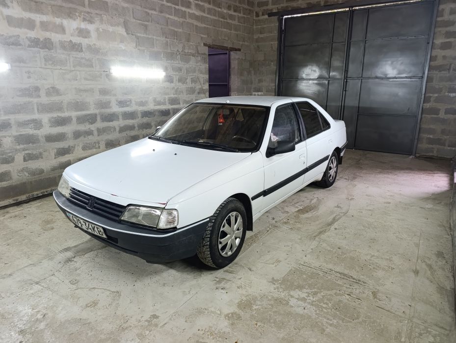Peugeot  405.     .