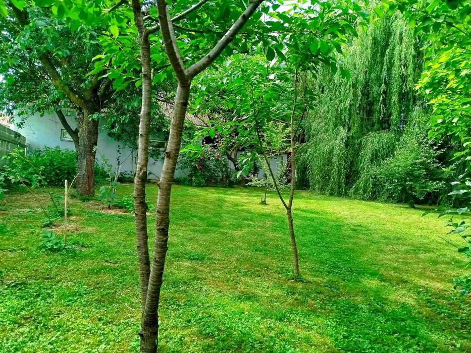 ПРОДАМ КОТЕДЖ, ЖИТЛО, БІЗНЕС між двома термальними курортами!!!