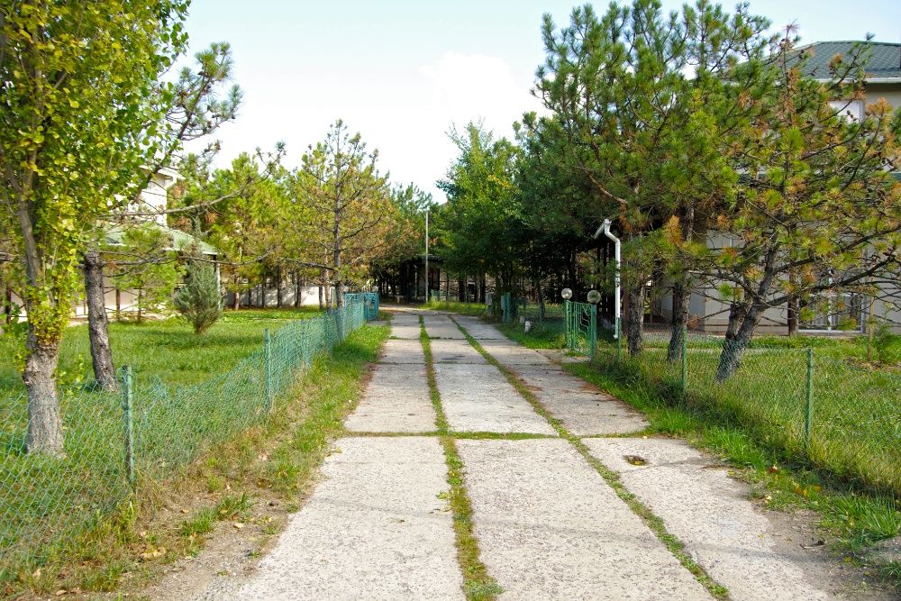 Продаж будинку 208 м² серед сосен біля моря — Коблево Без комісії