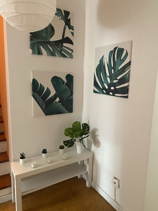 Apartamento T3 brevemente