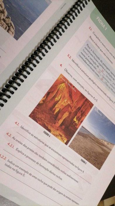 Caderno de Atividades - Missão: Terra 7 - Ciências Naturais - 7.º Ano