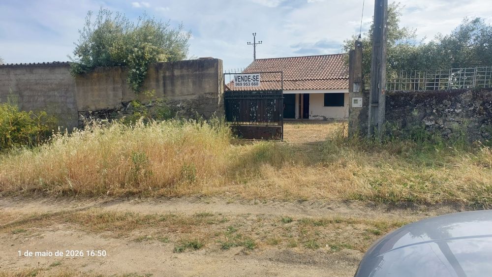 Quinta T3 Murada com 3.180m², Furo Artesiano e Anexos – castelo branco Idanha-a-Nova