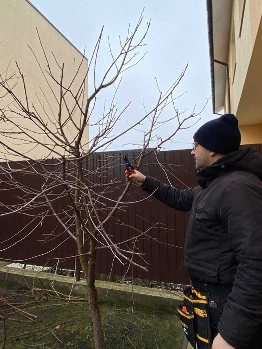 Обрізка дерев, зрізання дерев, обприскування, арбористика, подрібнення