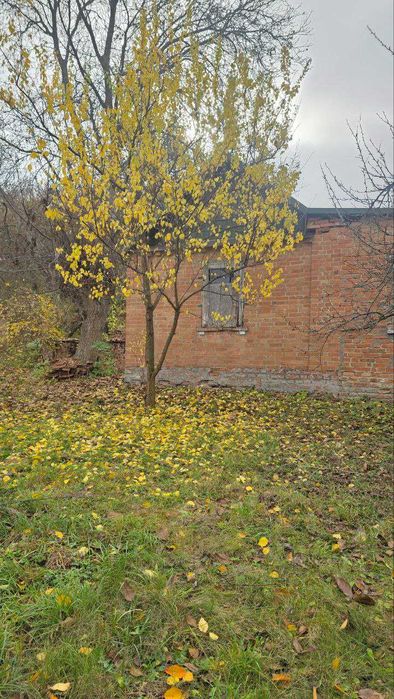 Пропонується до продажу земельна ділянка площею 16 соток