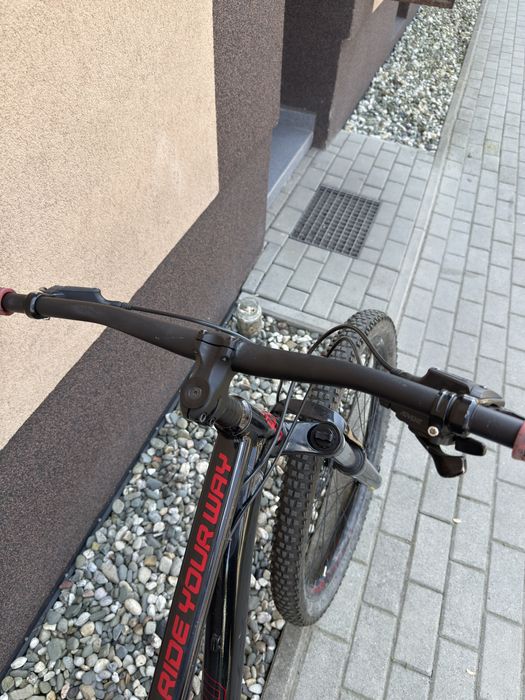 Dartmoor sparrow intro 27.5