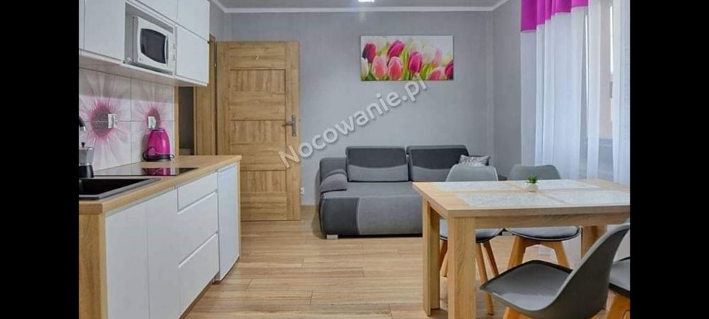 APARTAMENTY - noclegi, kwatery prywatne , Muszyna