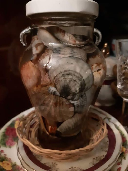 Морской подарок с ракушками