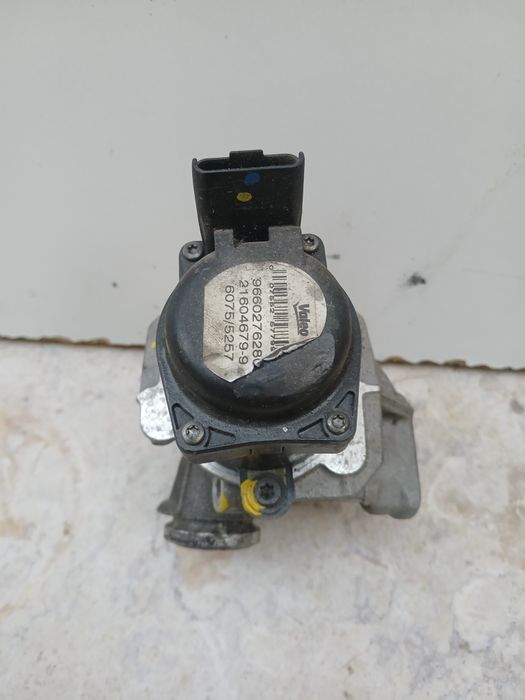 Válvula EGR Peugeot/Citroën/Ford