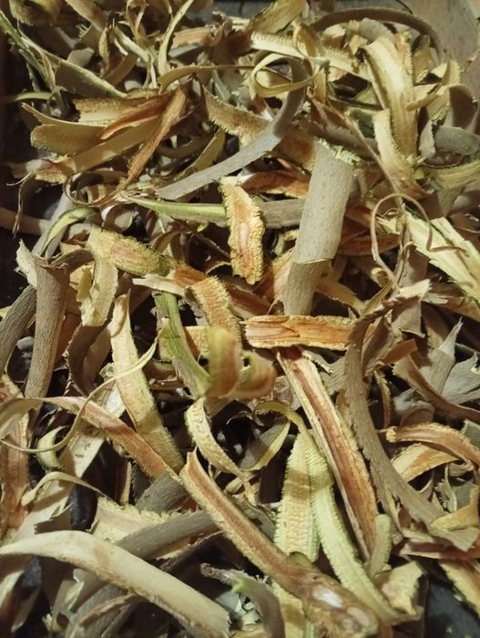 Кора ясена сушена