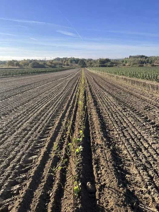 Nawigacja Rolnicza Sveaverken F200 RTK ISOBUS