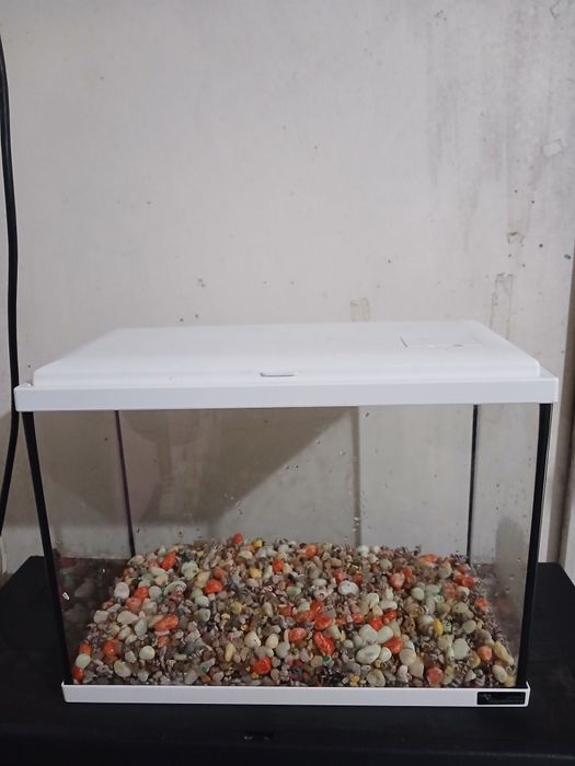 Aquario para paixes