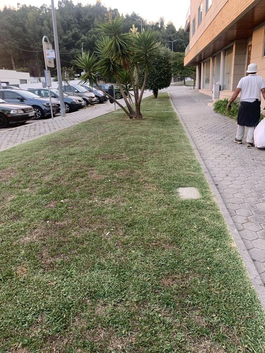 Jardins manutencao e limpeza