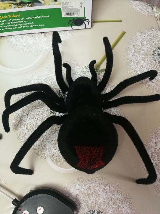 Павук на радіоуправлінні, великий.