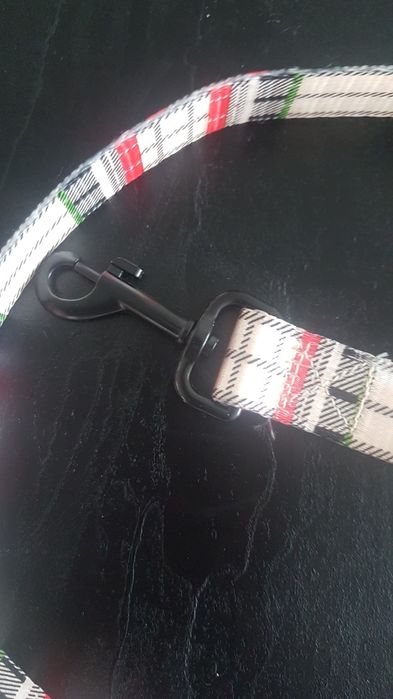 Smycz, pies, kot, zwierzę, pasek, kratka