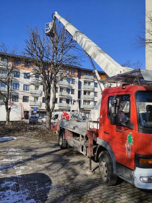 Naprawa sterowania podnośników koszowych Wumag Bison Bronto Ruthmann M