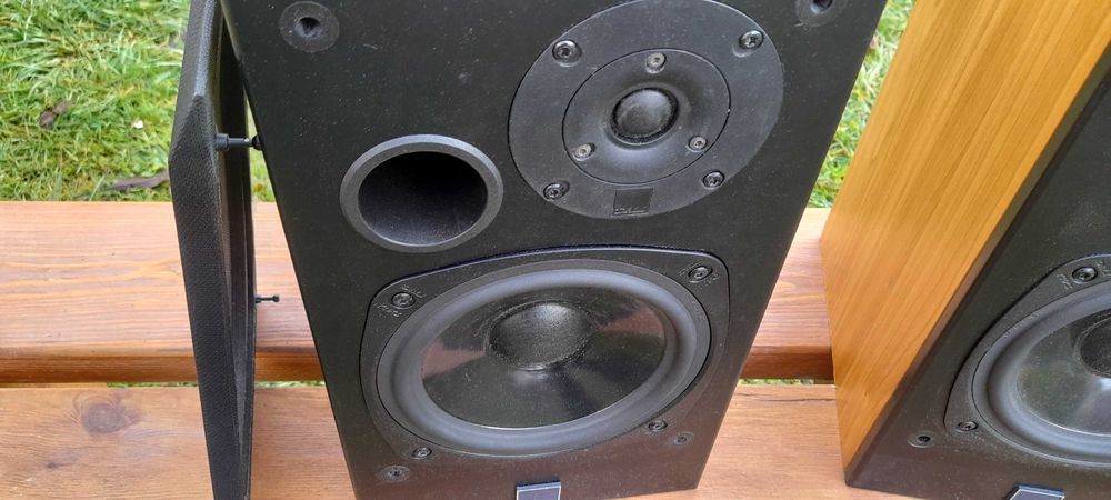 Kolumny Dali 202 (stereo, monitory)