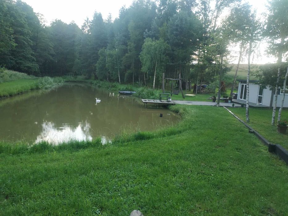 Domek letniskowy nad stawem klimatyzowany zator